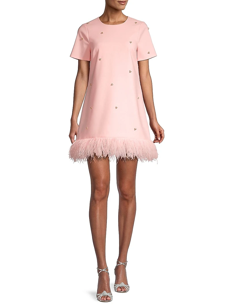 Marullo Feather-Trimmed Minidress
