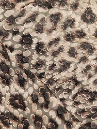 Mataori Animal Asymmetric Dress