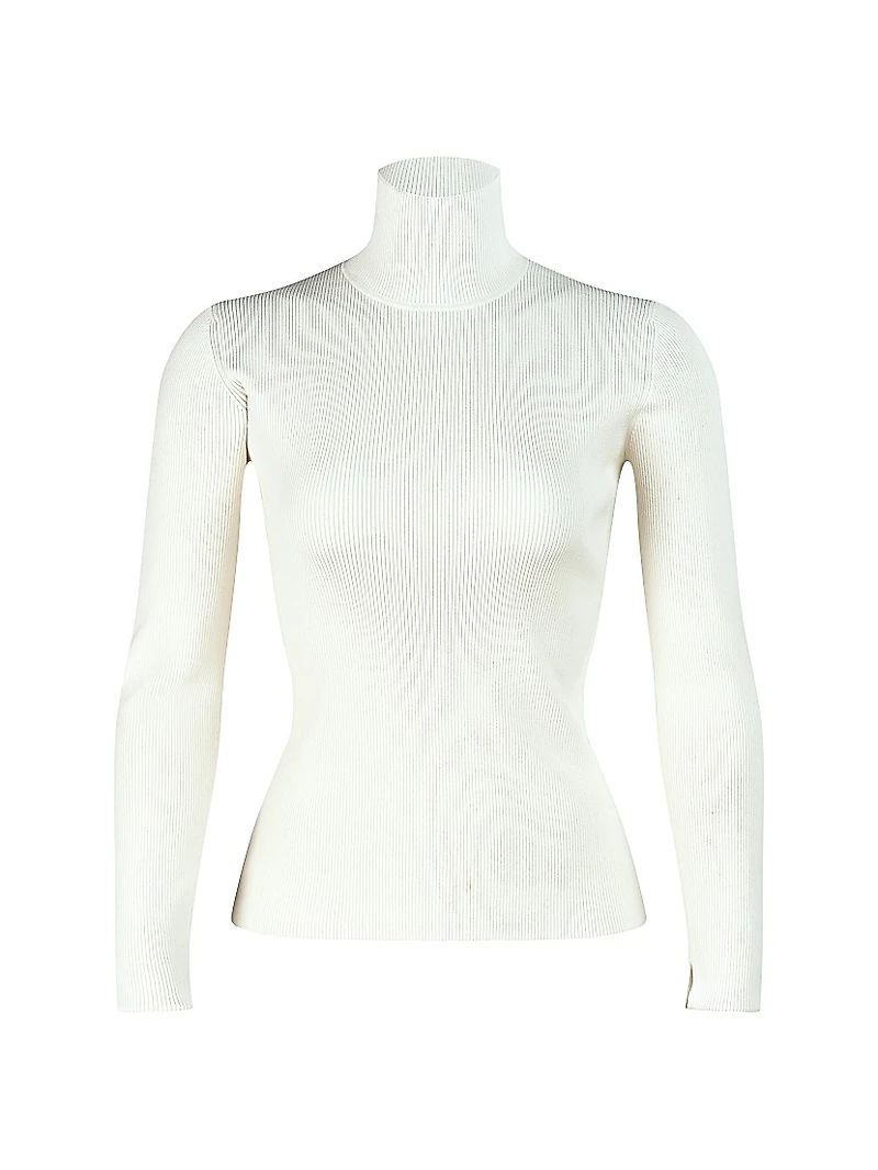 Ty Rib-Knit Turtleneck