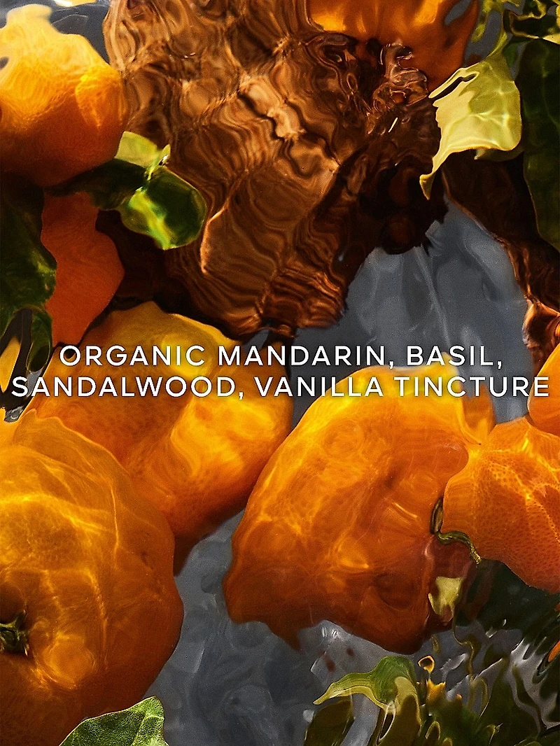 Aqua Allegoria Forte Mandarine Basilic Eau De Parfum