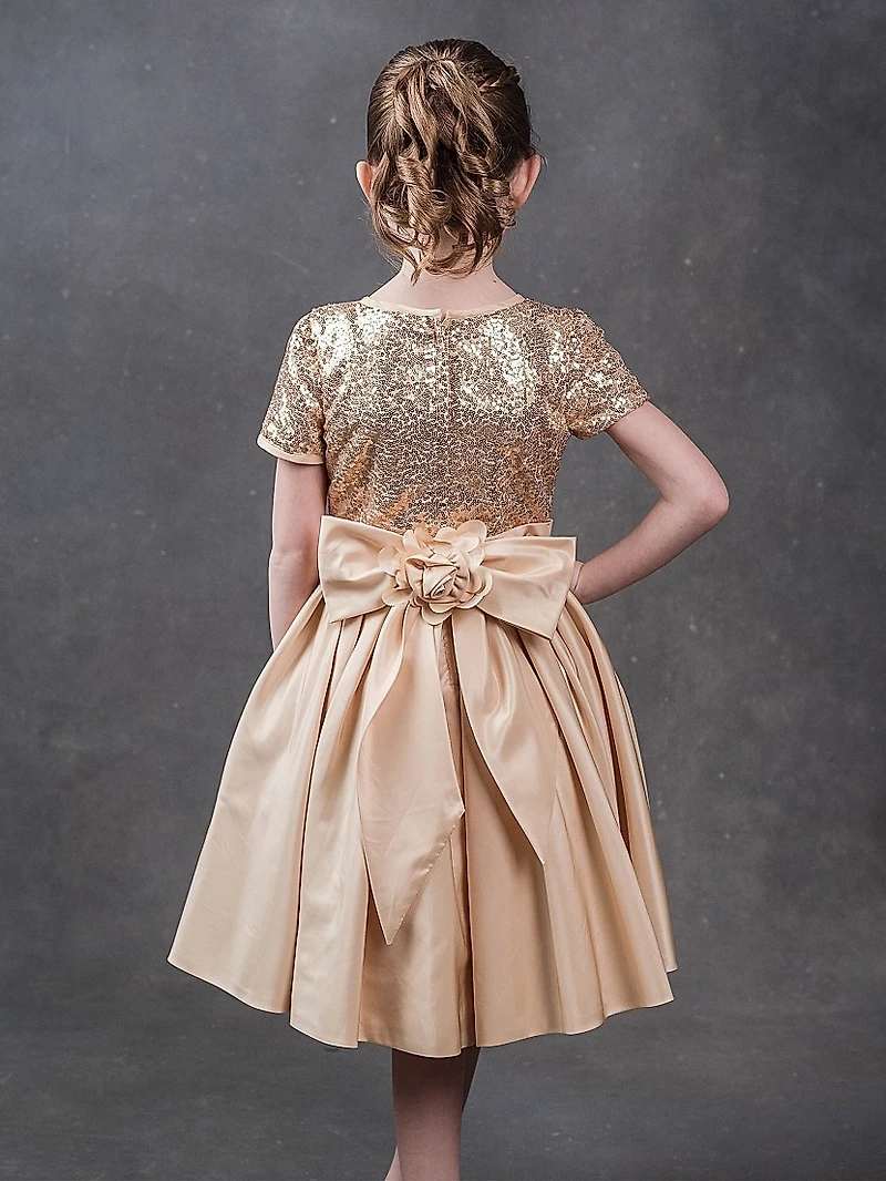 Baby Girl's, Little Girl's & Sequined Satin Dress