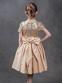 Baby Girl's, Little Girl's & Sequined Satin Dress