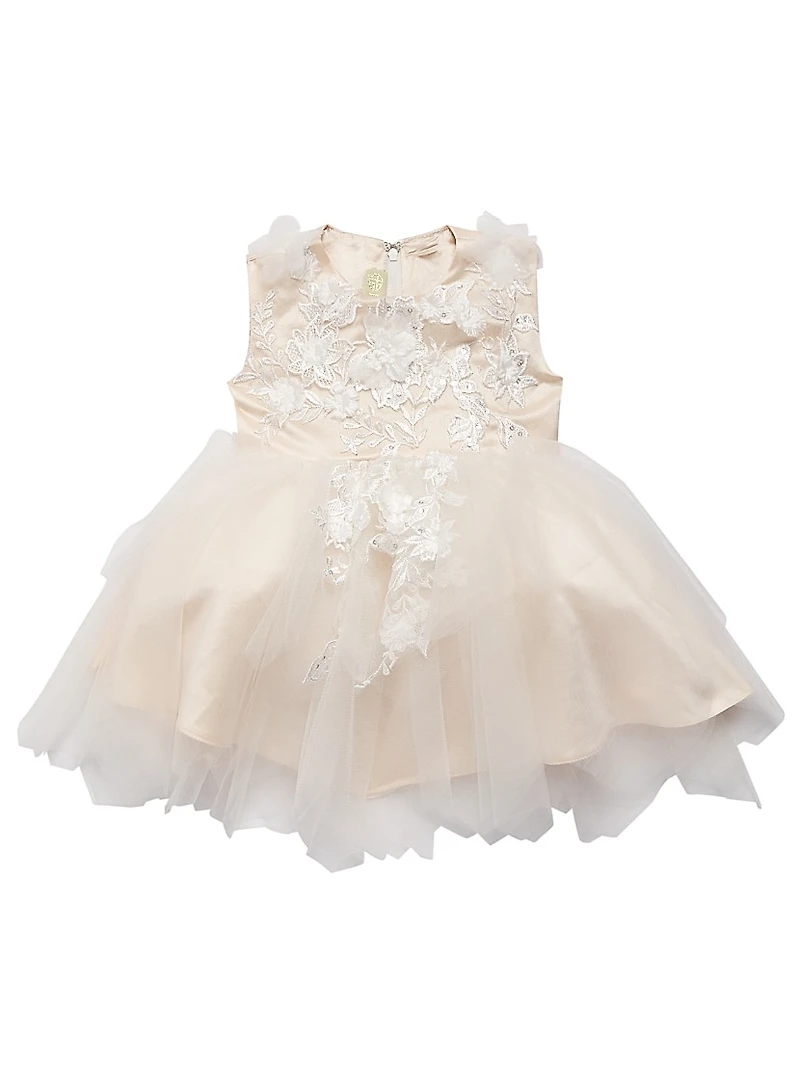 Baby Girl's & Little Embellished Tulle Lace Dress