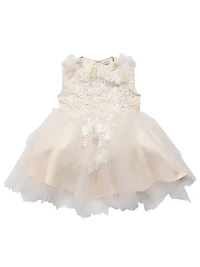 Baby Girl's & Little Embellished Tulle Lace Dress