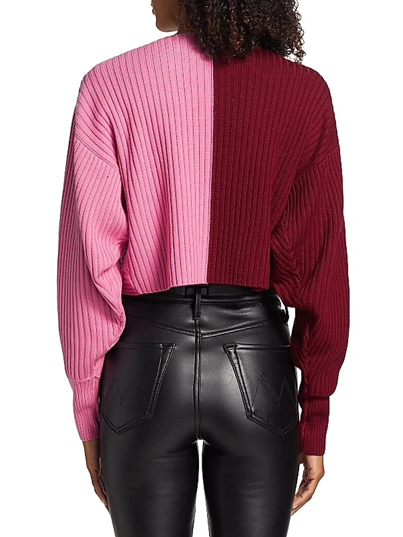 Cruz Merino Wool Colorblock Sweater