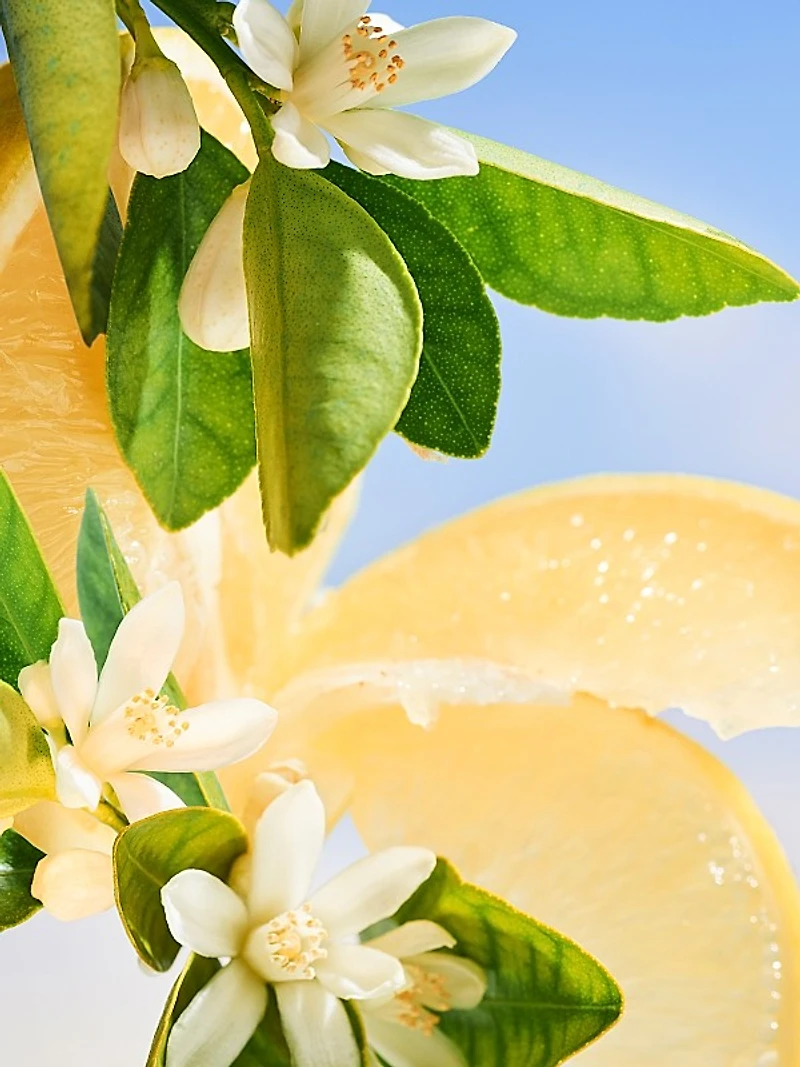 Allegra Riva Solare Eau de Parfum