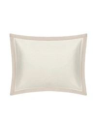 Celeste Cotton Euro Sham