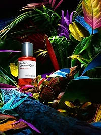 Ambre Chromatique Extrait De Parfum
