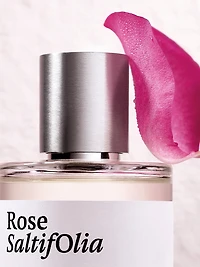 Rose Saltifolia Eau De Parfum