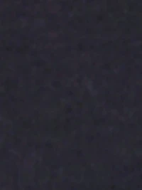 Cities Paris T-shirt Medium Fit