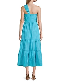 Patio Tieres Stretch Crepe & Taffeta Midi-Dress