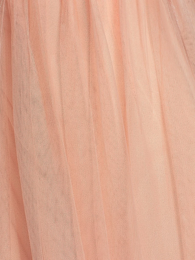 Sabra Tulle Sleeveless Gown