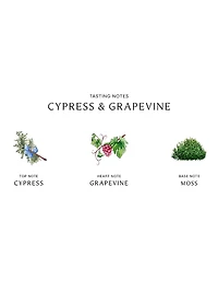 Cypress & Grapevine Cologne Intense