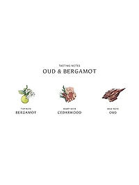 Oud & Bergamot Cologne Intense