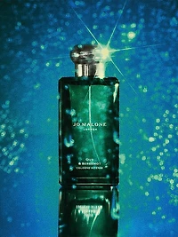 Oud & Bergamot Cologne Intense