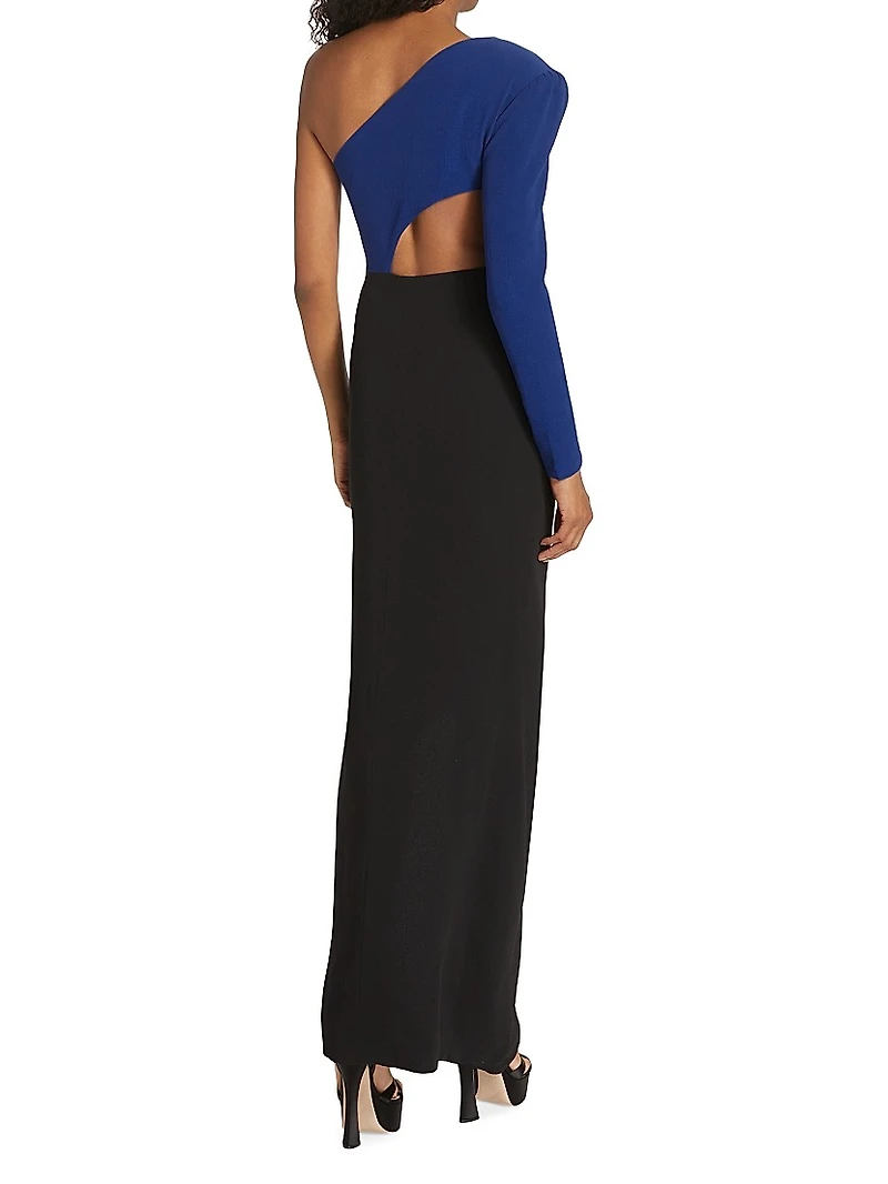Evelyn One-Shoulder Colorblocked Draped Gown