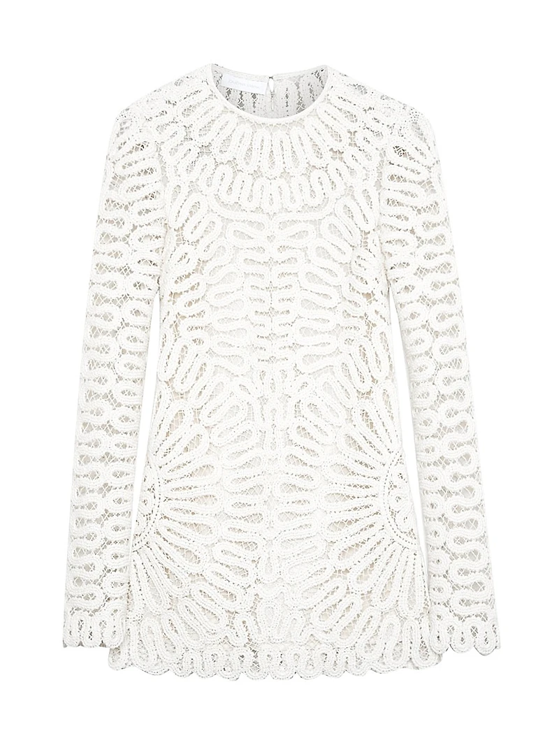 McCall Crocheted Long-Sleeve Minidress