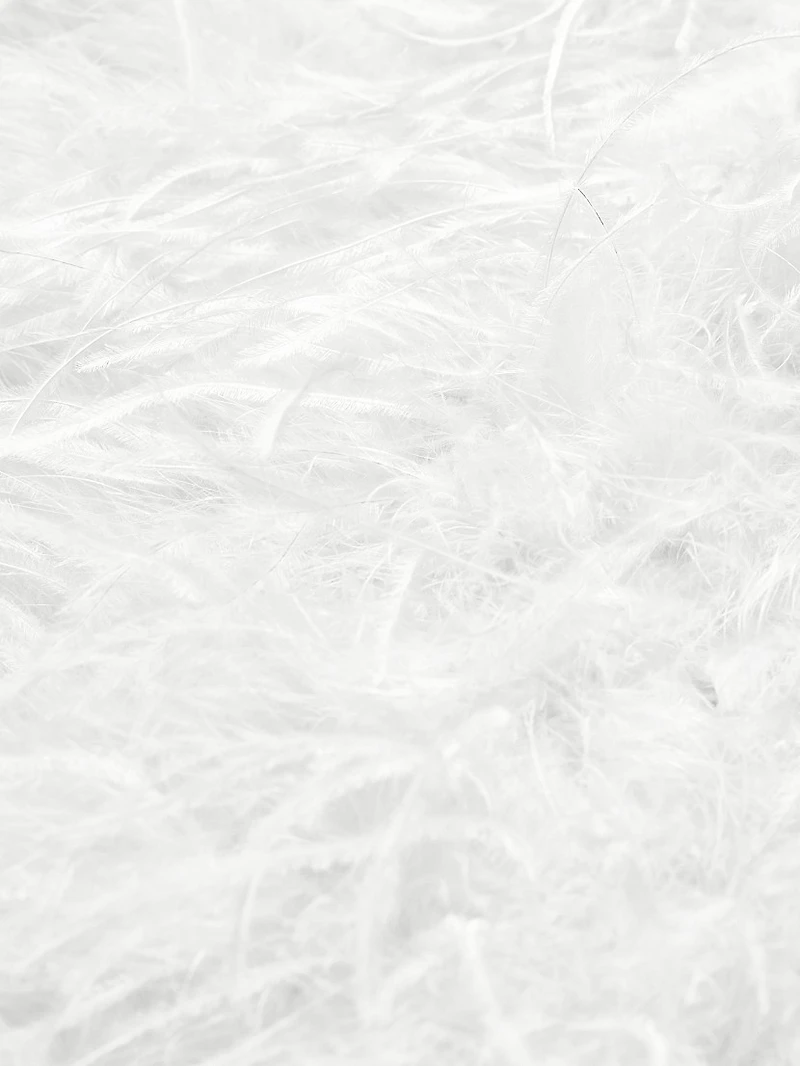 Triana Strapless Feather Minidress