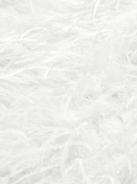 Triana Strapless Feather Minidress