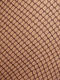 Twenties Fishnet Tights