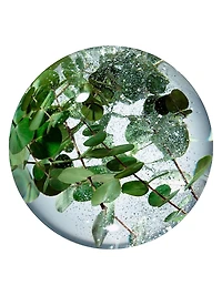 Concentrated Brightening Serum