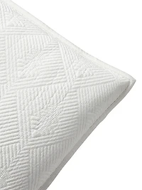 Park Row Elysia Euro Sham