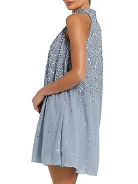 Sequin-Embellished Trapeze Dress