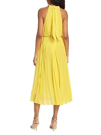 Sunray Pleated Dress