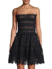 Vallarta Lace Minidress