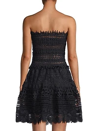 Vallarta Lace Minidress