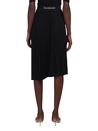 Fancy Pleated Skirt