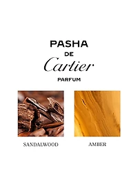 Revamp Pasha Eau de Parfum