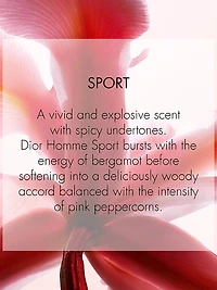 Dior Homme Sport Eau de Toilette