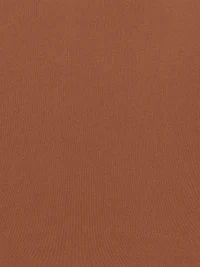 Seamless Sculpt Mid Thigh Bodysuit