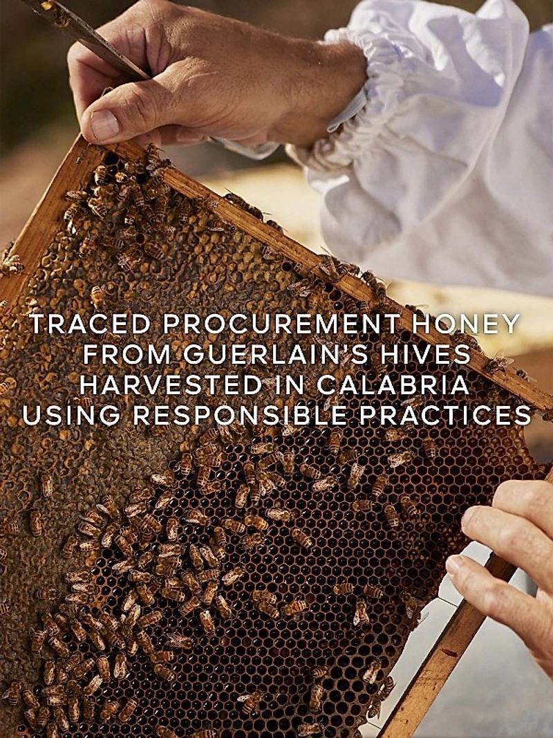 Aqua Allegoria Harvest Nerolia Vetiver Eau de Toilette