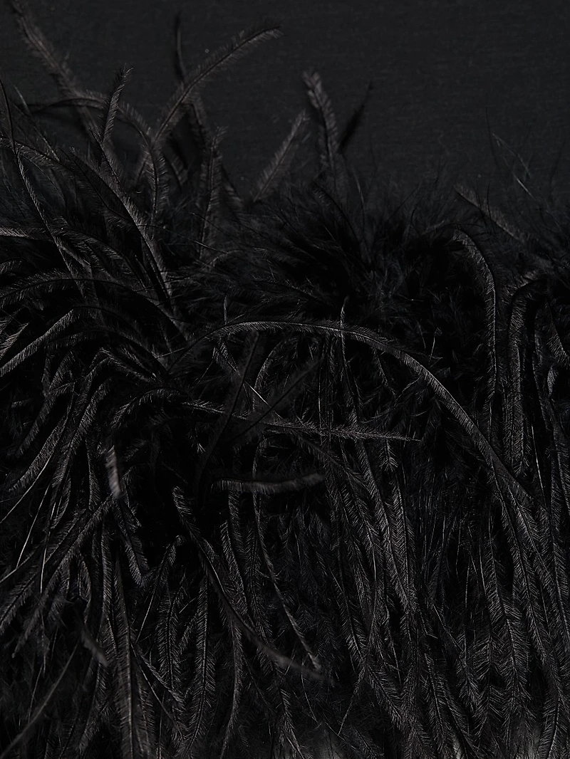 Bahira Feather-Trim Minidress