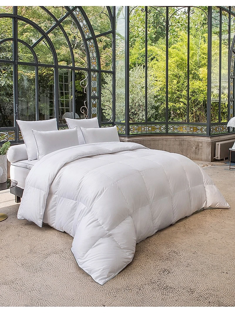 Jardin Des Tuileries Pillow