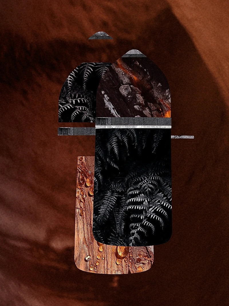 Pasha Noir Absolu Eau de Parfum