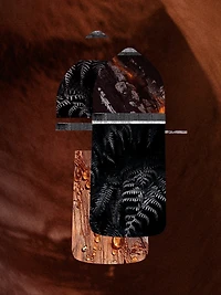 Pasha Noir Absolu Eau de Parfum