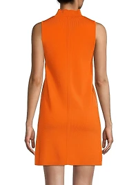 Madelyn Mock Turtleneck Minidress