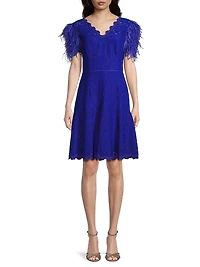 Feathers Lace Minidress