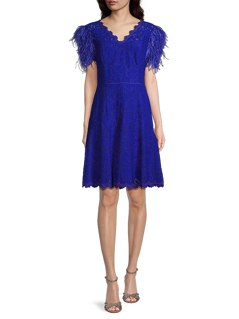 Feathers Lace Minidress