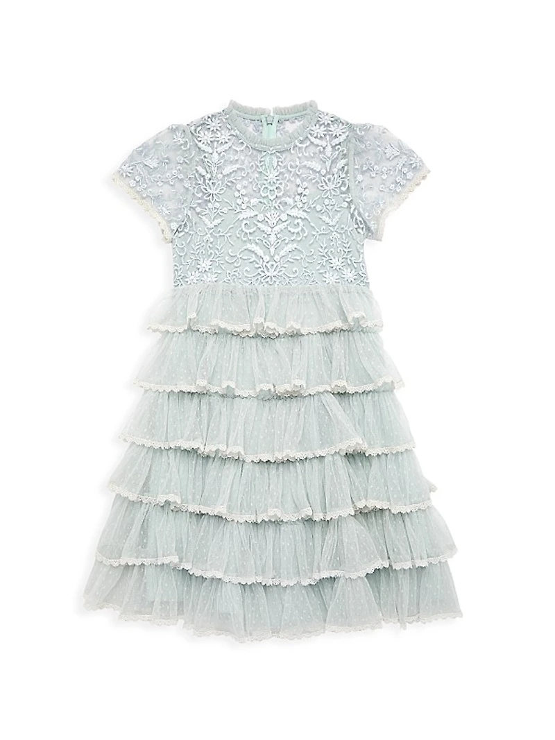 Little Girl's & Girl's High-Neck Embroidered Mini Dress