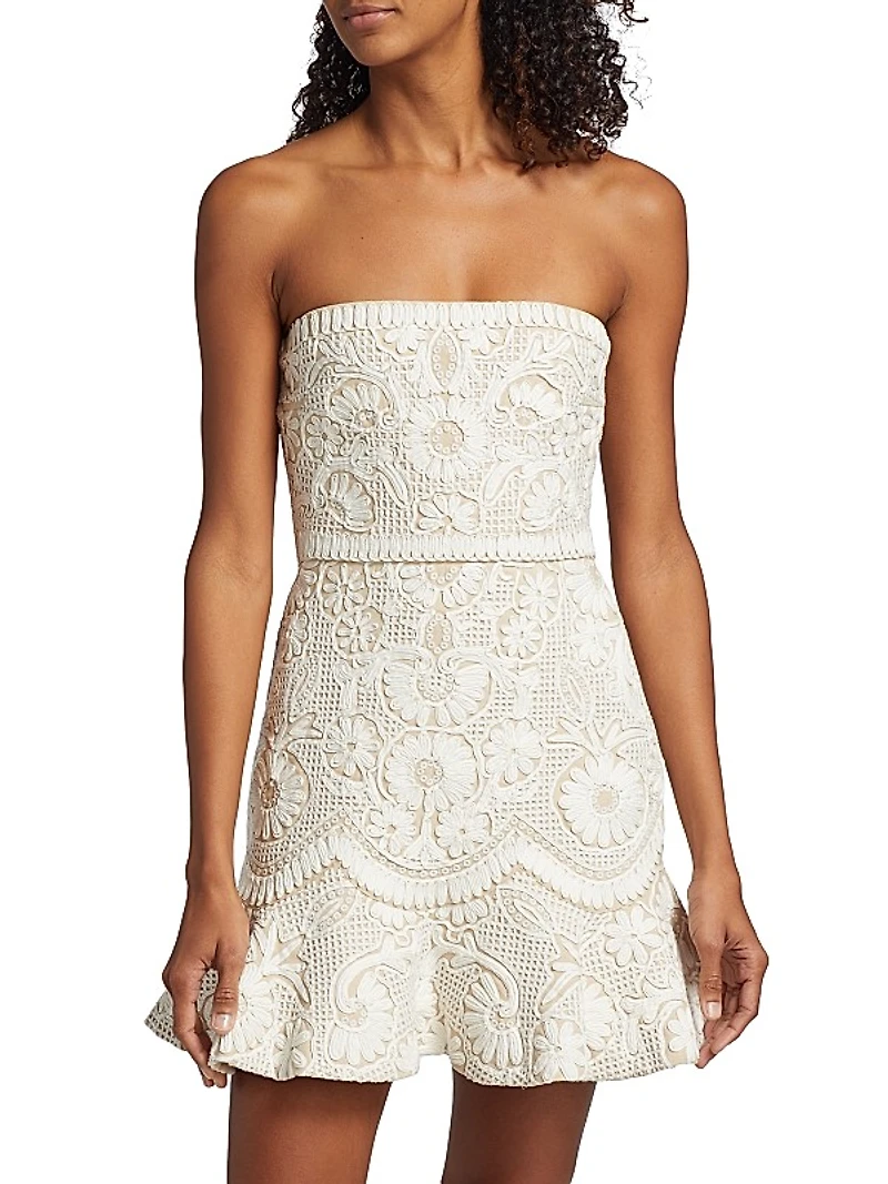 Agata Lace Strapless Minidress