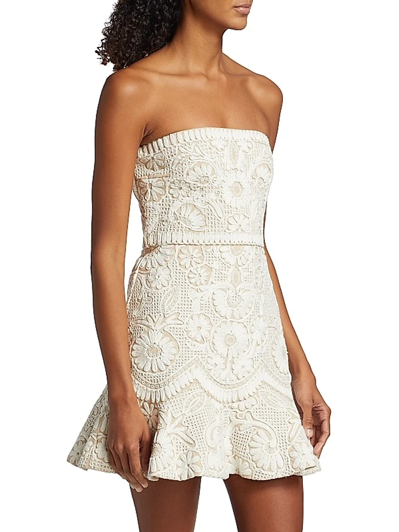 Agata Lace Strapless Minidress