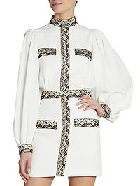 Metallic Embroidered Minidress