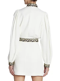 Metallic Embroidered Minidress
