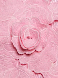 Walter Floral Applique Satin Minidress