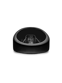 Exotic Stone Signet Ring In Black Titanium