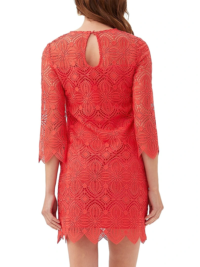 Atlantic Lace Minidress
